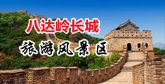 美女露乳操逼中国北京-八达岭长城旅游风景区